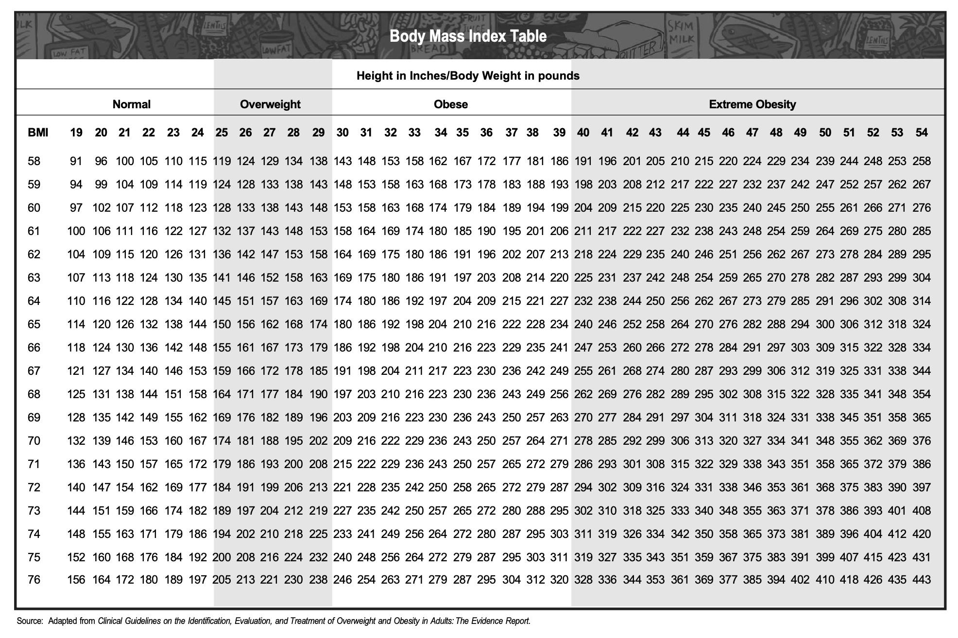 BMI Calculator Image